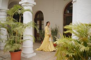 Photos by Safarsaga Films